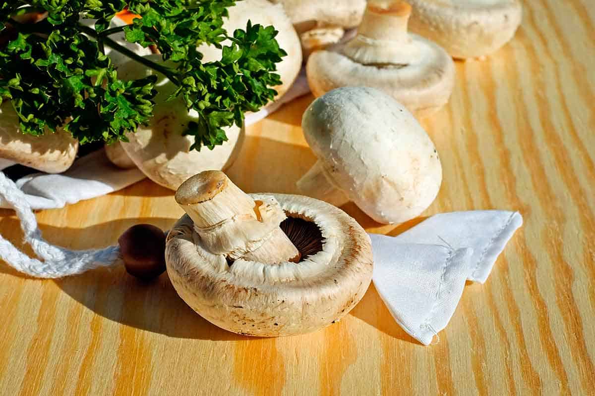 5-beneficios-para-la-salud-hongos