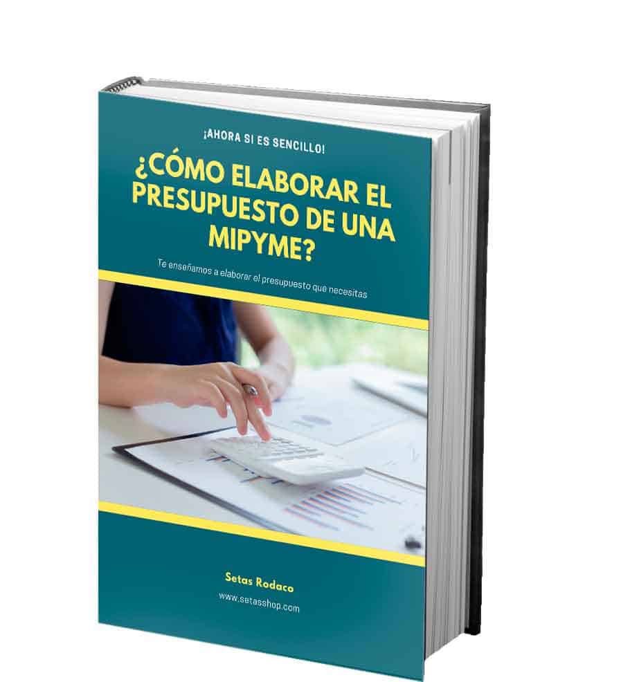 como-elaborar-el-presupuesto-de-una-mipyme