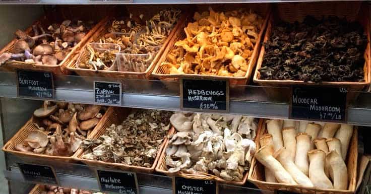 Propiedades Curativas de las Setas