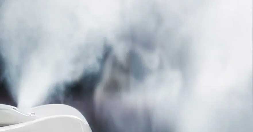 Humidificadores para el Cultivo de Setas: ¡Imprescindibles!