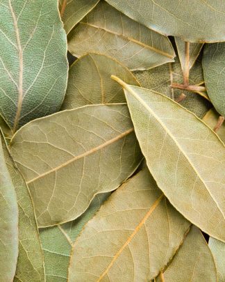 Laurel (Laurus nobilis) Ecológico - Hojas Enteras o en Polvo