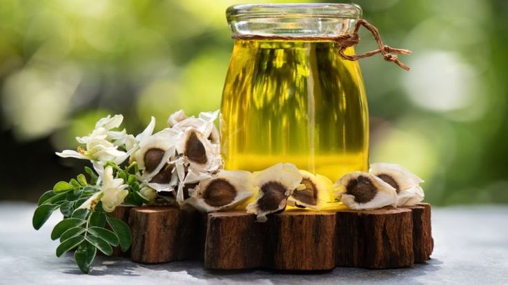 Aceite de moringa ecológico: usos en cocina, cosmética natural y cultivo – Cómo integrarlo con setas ostra y plantas proteicas